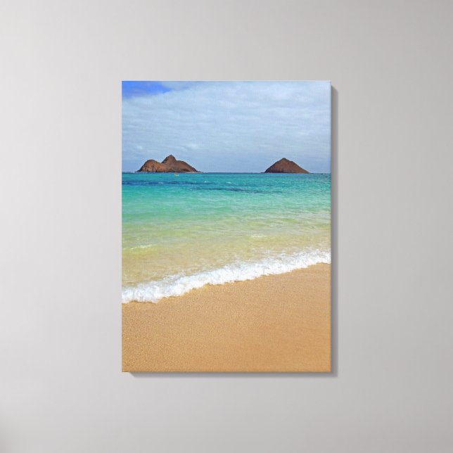 Lanikai Mokuluas Canvas Print (Front)