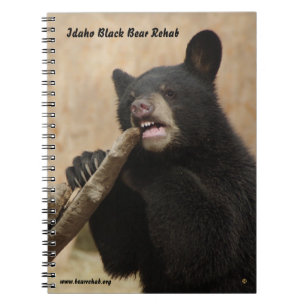 Lanikai Notebook