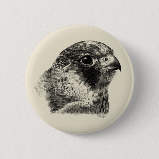 Lanner Falcon Drawing 6 Cm Round Badge (Front)
