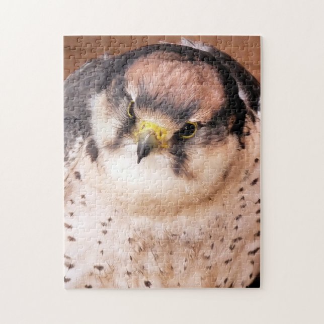 LANNER FALCON JIGSAW PUZZLE (Vertical)