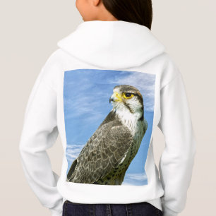 Lanner Falcon perched