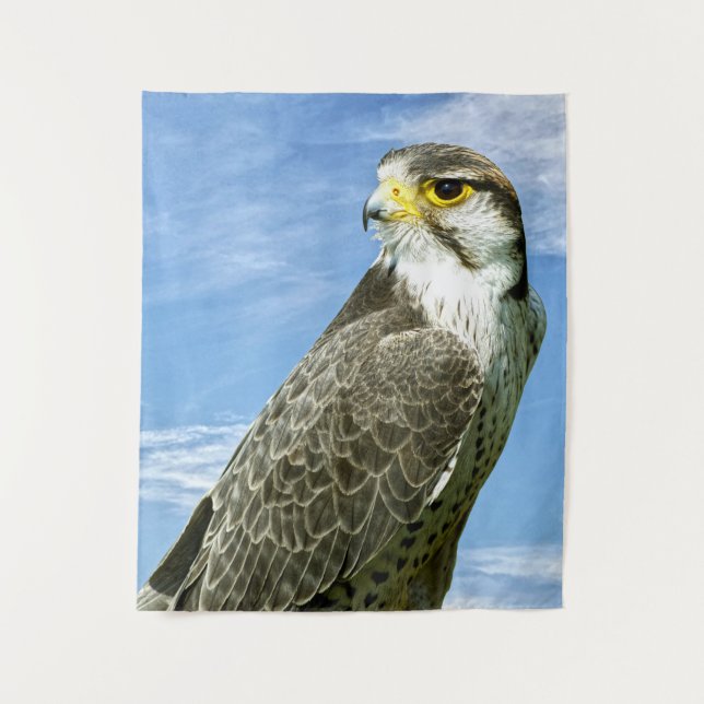 Lanner Falcon perched Tapestry (Front)