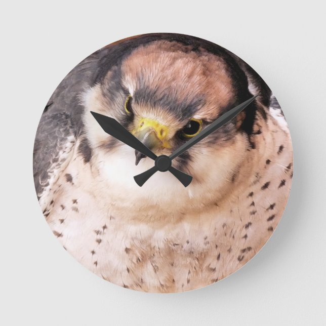LANNER FALCON ROUND CLOCK (Front)