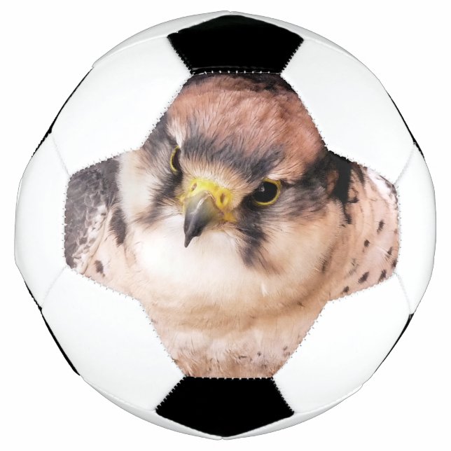 LANNER FALCON SOCCER BALL (Front)