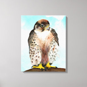 Lanner Falcon Watercolor Painting Canvas Print