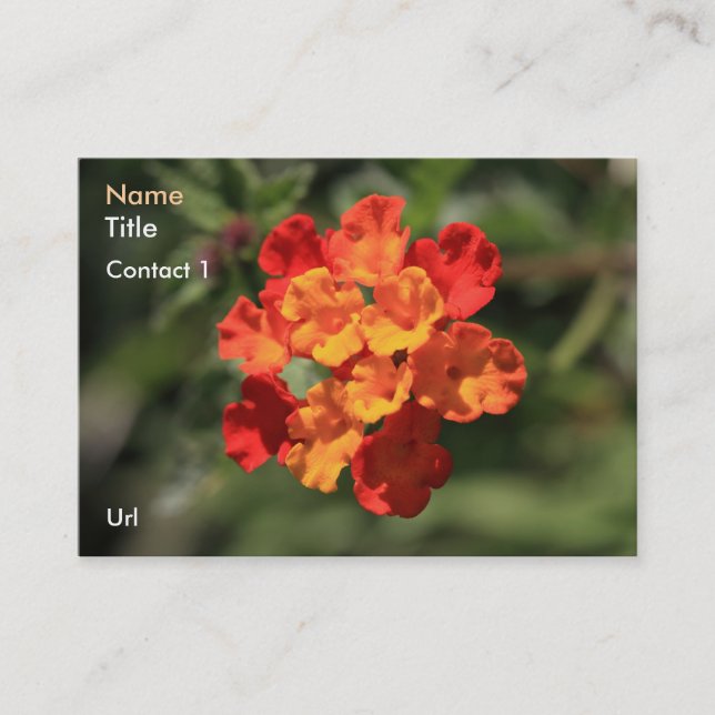Lantana Business Card (Front)