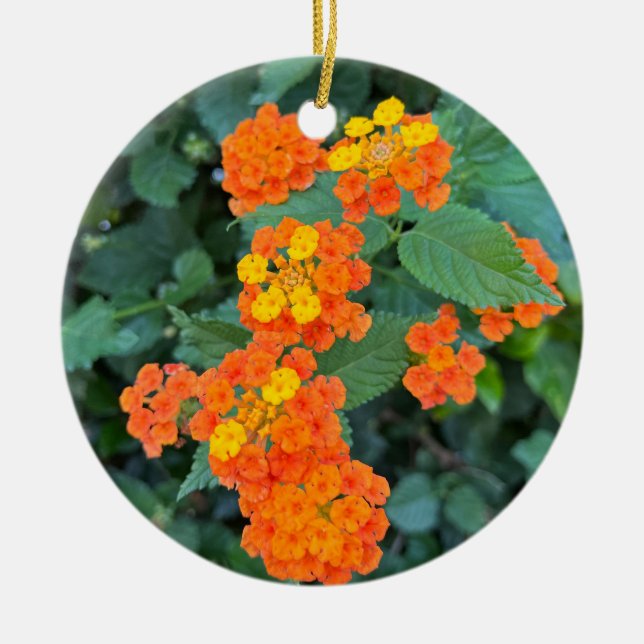 Lantana Ceramic Tree Decoration (Front)