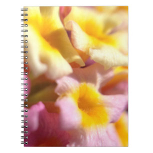 Lantana flowers notebook