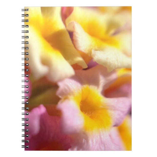 Lantana flowers notebook (Front)
