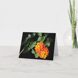 Lantana Note Card