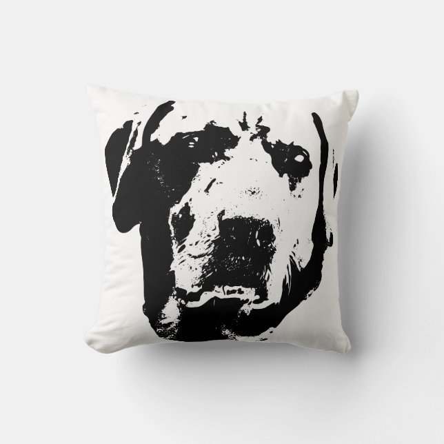 Lantern Glow Portrait Cushion (Front)