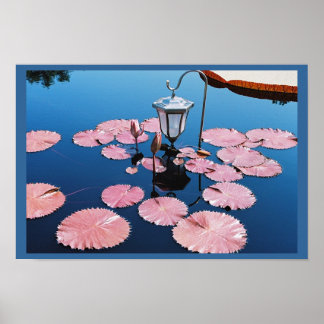 Lantern Over Lilies Poster