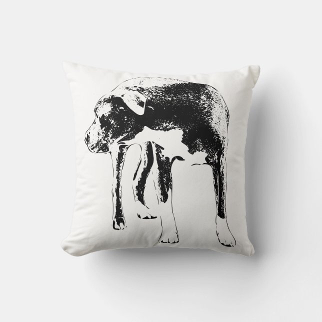 Lantern Path Sentinel Cushion (Front)