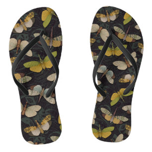 Lanternflies - Pyrops Candelaria & Other Planthopp Jandals