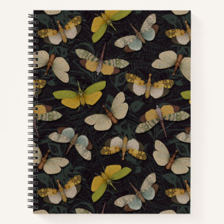 Lanternflies - Pyrops Candelaria & Planthoppers Notebook