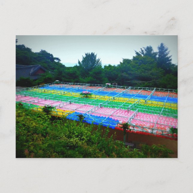 Lanterns at Seokguram Grotto, South Korea Postcard (Front)