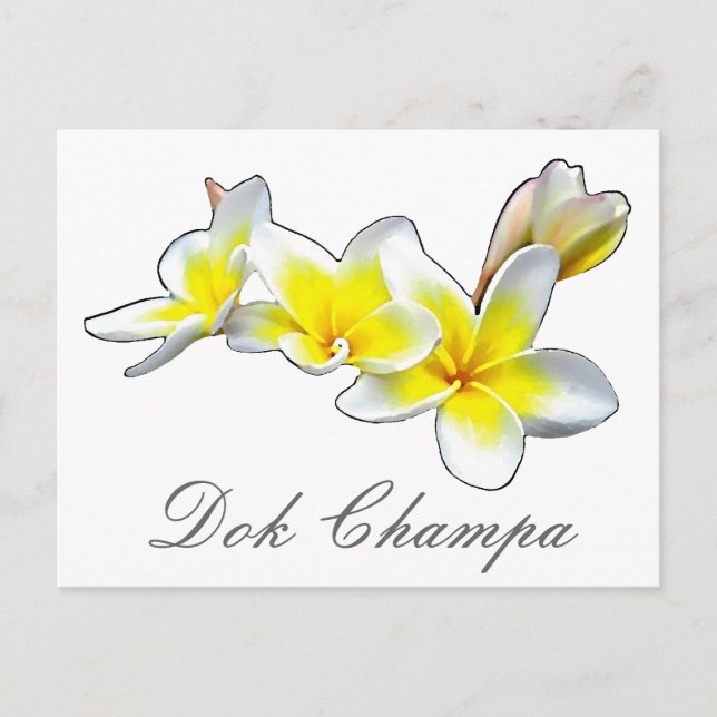 LAO FLOWER DOK CHAMPA - PLUMERIA RUBRA POSTCARD (Front)
