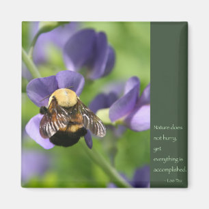 Lao Tzu Words of Wisdom Magnet