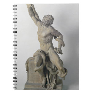 Laocoon group without the sons, 17th century (marb spiral notebook