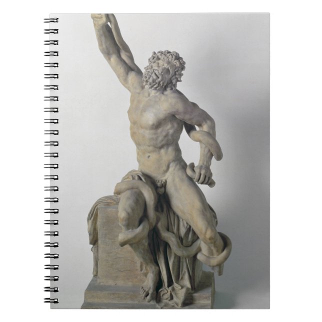 Laocoon group without the sons, 17th century (marb spiral notebook (Front)