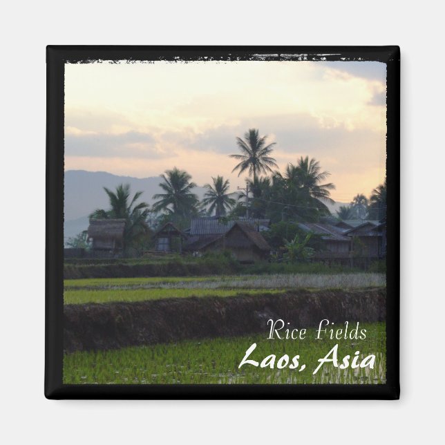 Laos, Sunset above rice fields (Magnet) Magnet (Front)