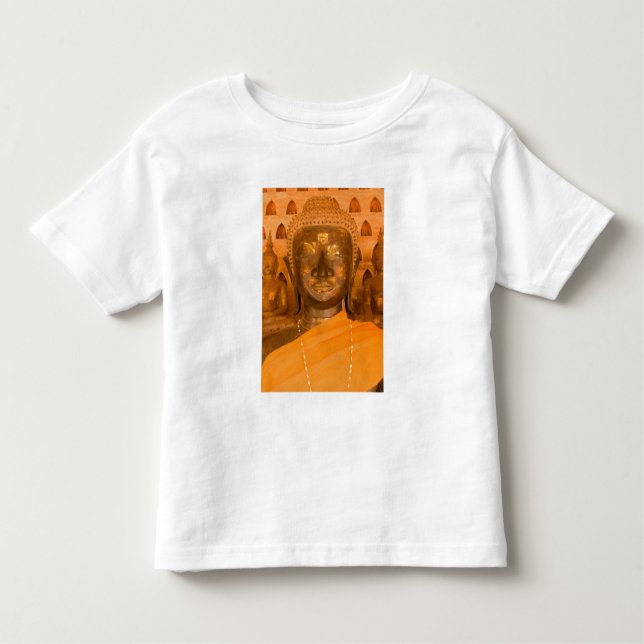 Laos, Vientiane, one of 6840 Buddha images in 2 Toddler T-Shirt (Front)