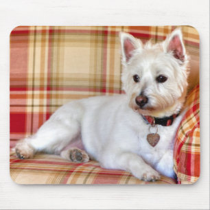 Lap Of Luxury Mouse Pad