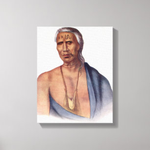 Lap-Pa-Win-Soe, a Delaware Chief Canvas Print