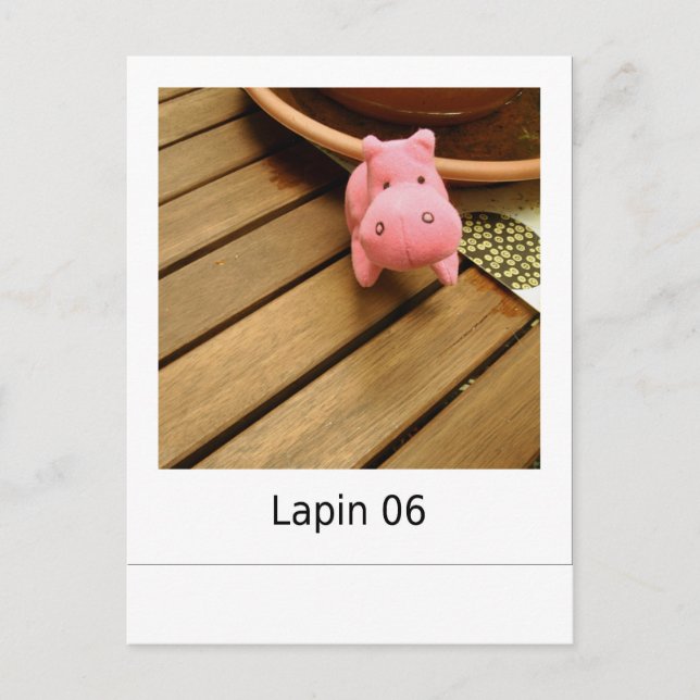 Lapin 06 postcard (Front)