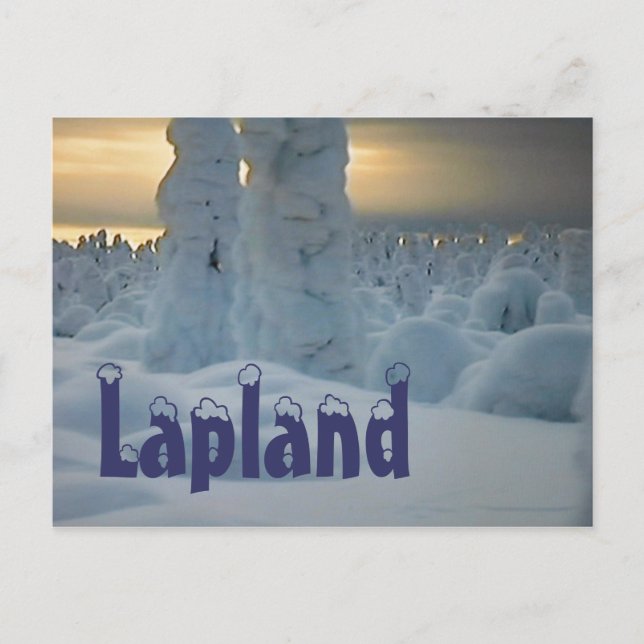Lapland arctic winter  postcard (Front)