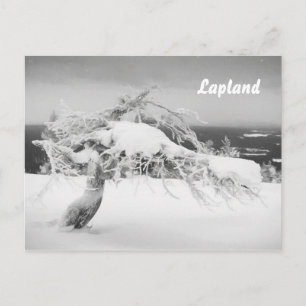 Lapland landscape souvenir postcard