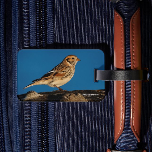 Lapland Longspur on a Sunlit Log Luggage Tag (Back Insitu 2)