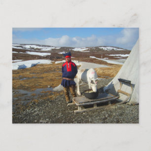 Lapland,  Sámi settlement with tent and cow Postcard