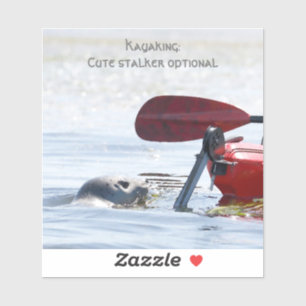 Laptop sticker - Kayaker followed by curious seal