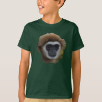 Lar Gibbon