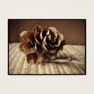 Larch Cone ATC