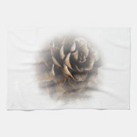 Larch Cone