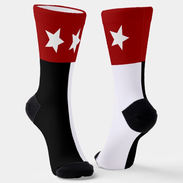 Laredo (Texas) city flag Socks (Angled)
