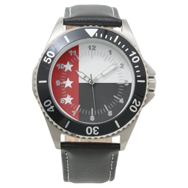 Laredo (Texas) City flag Watch (Front)