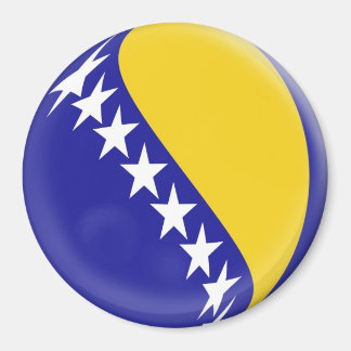 Large 3 inch magnet - Bosnia & Herzegovinia flag