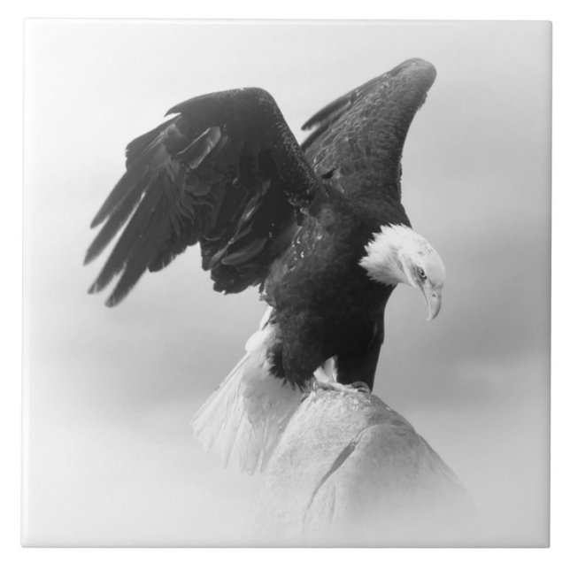 Large (6" X 6") Ceramic Photo Tile (Front)