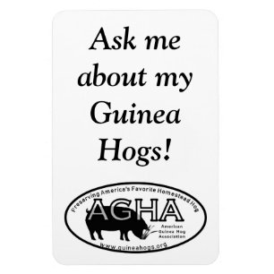 Large AGHA magnet