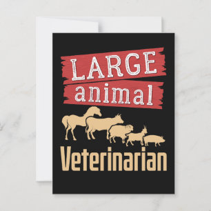 Large Animal Veterinarian Livestock Vet  Postcard