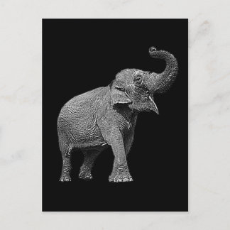 LARGE ASIAN ELEPHANT - INDIAN ELEPHANT POSTCARD
