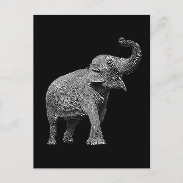 LARGE ASIAN ELEPHANT - INDIAN ELEPHANT POSTCARD (Front)