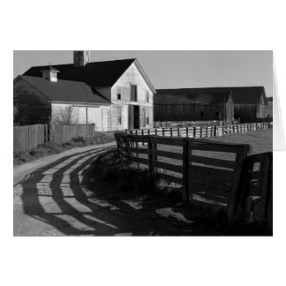 Large Barn and Road, March 1966