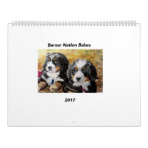 Large Berner Nation Babes 2017 calender