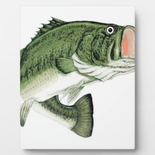 Large Big Mouth Bass Plaque