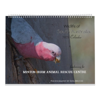 large calender 24 calendar