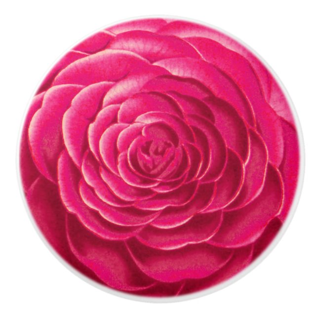 Large Camellia Blossom, Fuchsia Pink Ceramic Knob (Front)